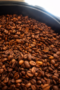 Conserva Blend